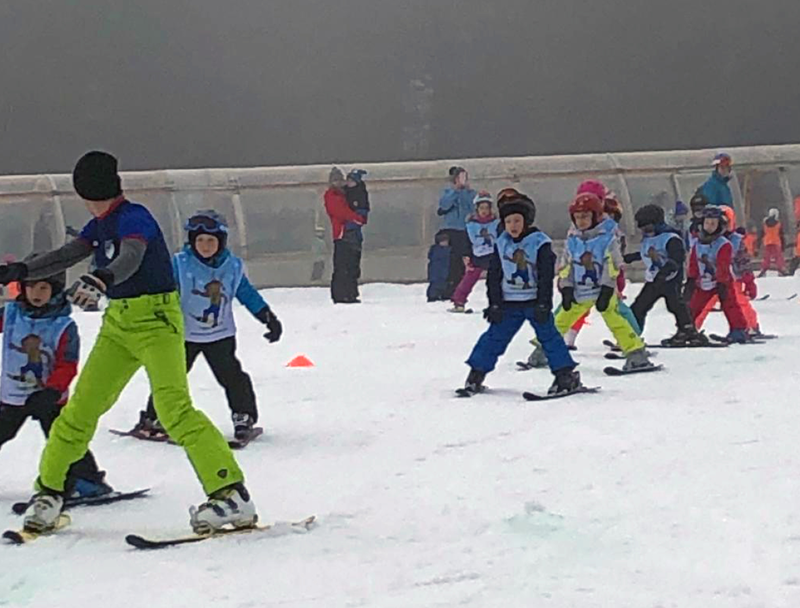 Kinder fahren mit ski hintereinander einen kleinen Hang herab