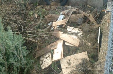 Falscher Holzmüll im Grüncontainer