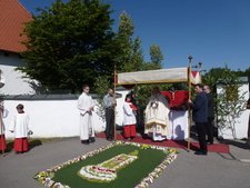 Fronleichnamsprozession von 2014 Der Pfarrer vor einem Blumenteppich