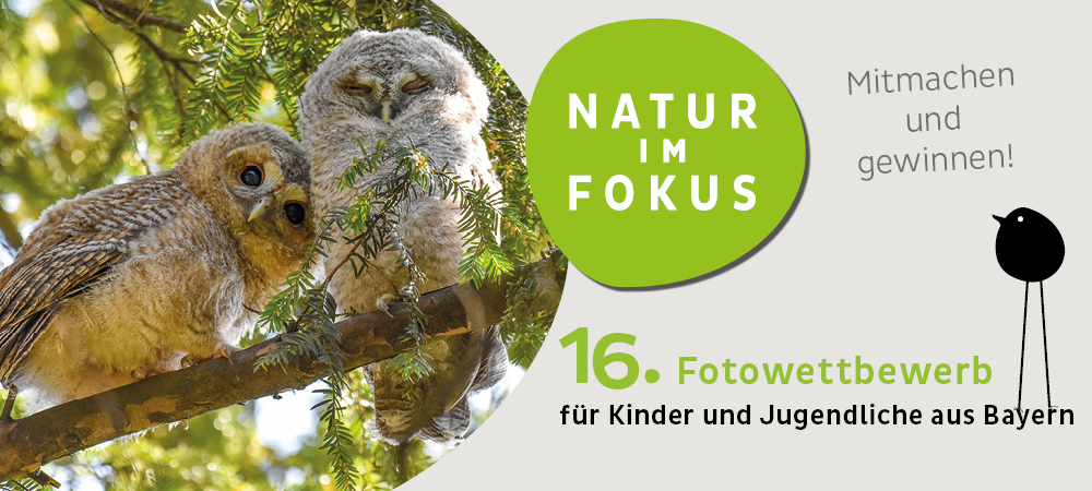 Start des 16. Fotowettbewerbs „Natur im Fokus“ für Kinder und Jugendliche aus Bayern