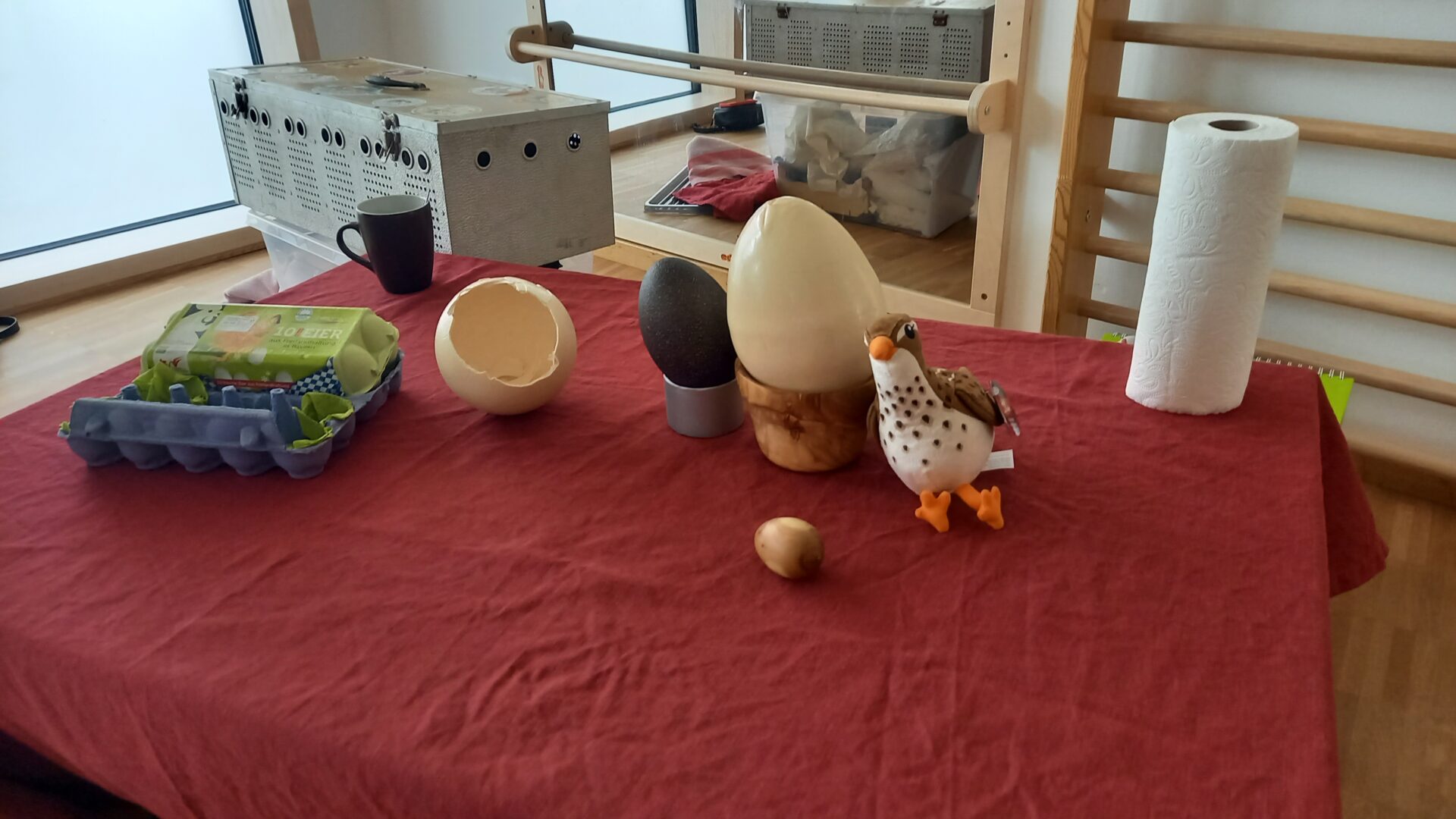 Geflügel interessierte die Kinder