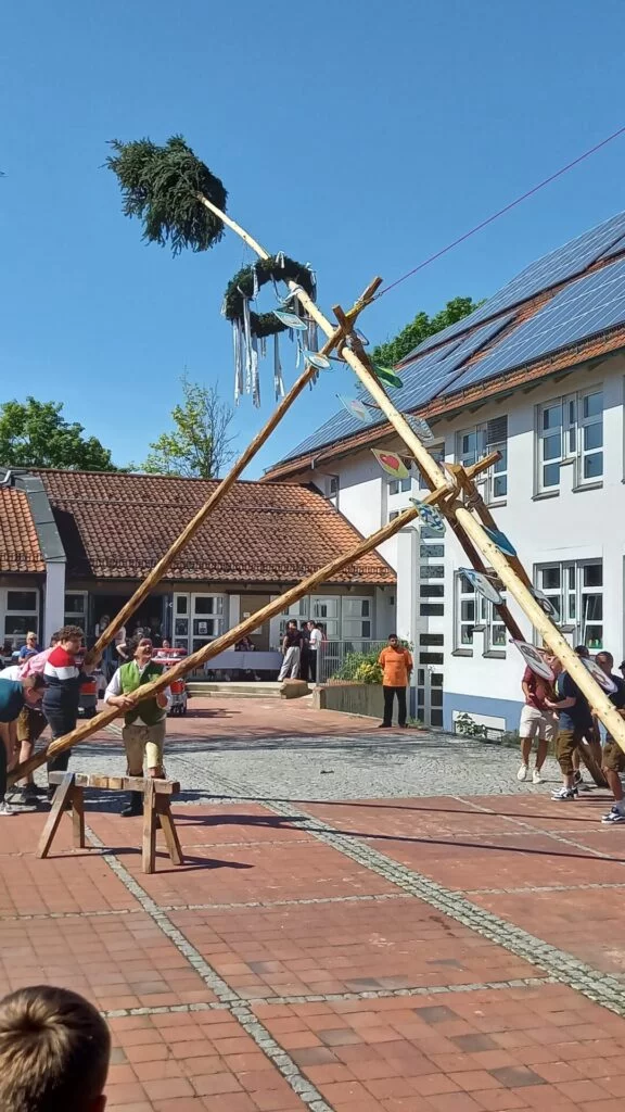 Personen beim Aufstellen des Maibaumes