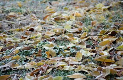 Quelle: Pixabay, _Alicja_